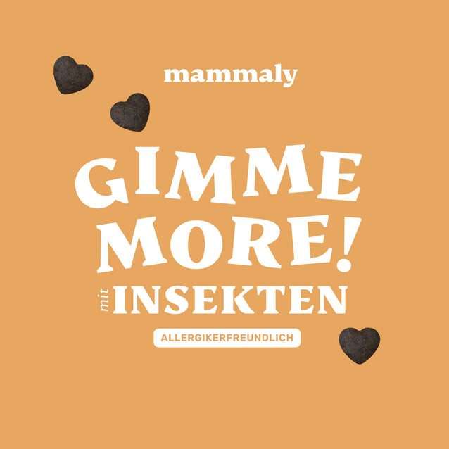 Gimme More! mit Insekten - mammaly